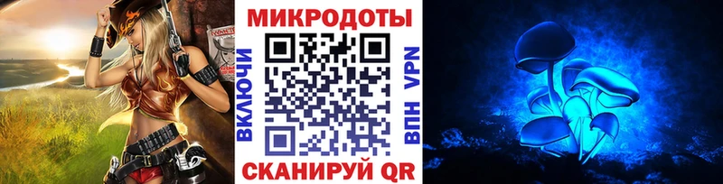 Псилоцибиновые грибы Psilocybe  Усть-Катав 